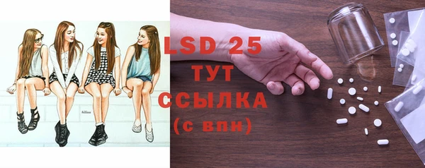 прущие грибы Майский