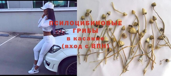 Альфа ПВП Медвежьегорск