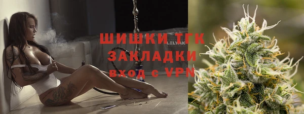 прущие грибы Майский