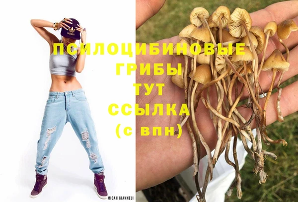 а пвп мука Магас