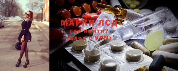 прущие грибы Майский