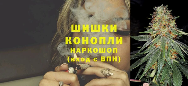 прущие грибы Майский