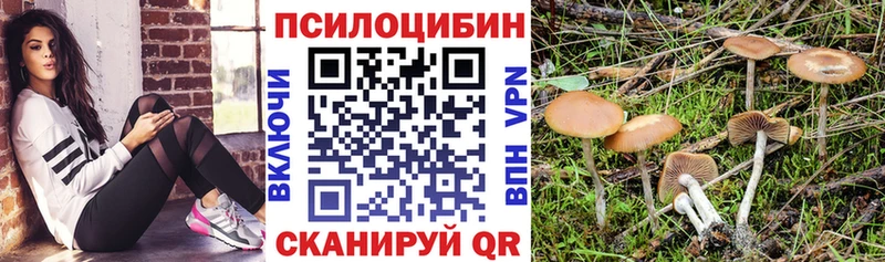 цены   Шебекино  Галлюциногенные грибы Psilocybine cubensis 