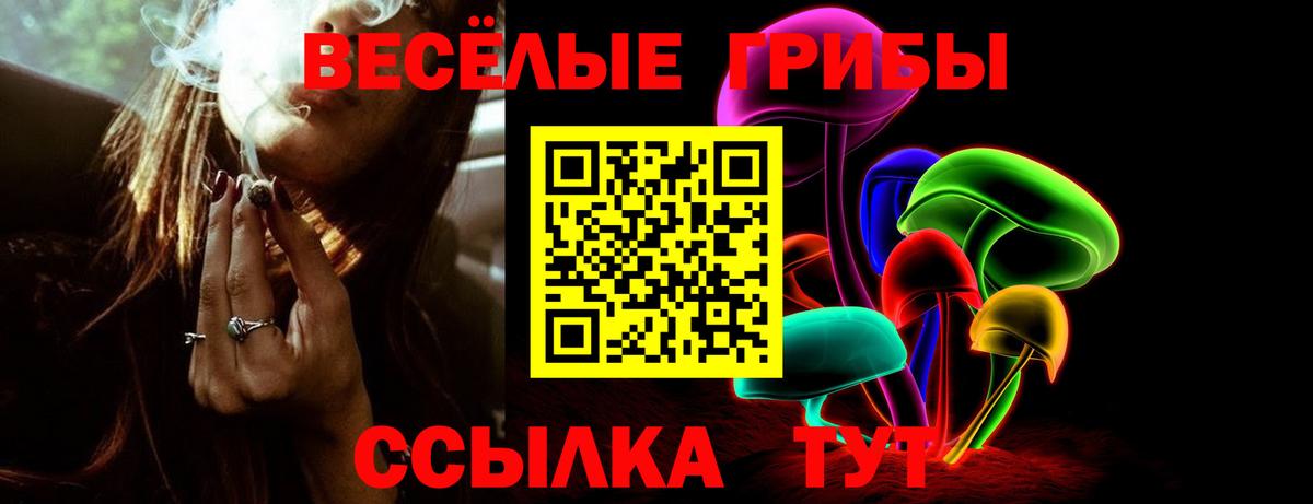Шебекино  Псилоцибиновые грибы мицелий  Вход с VPN 